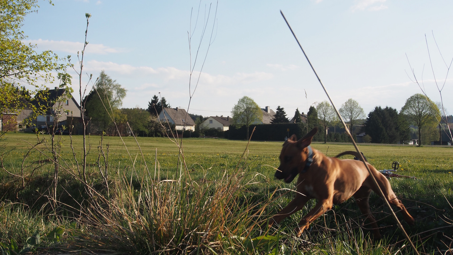 Natur