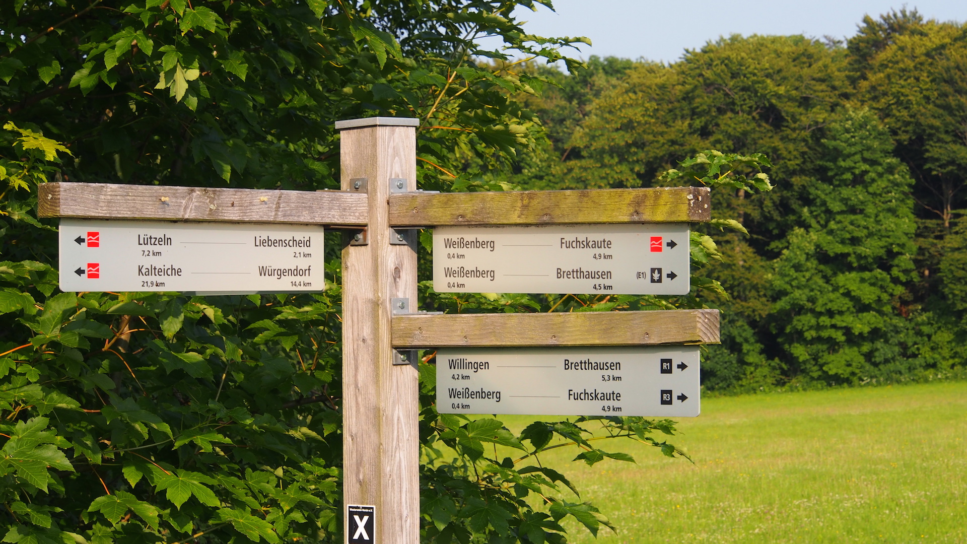 Wandern