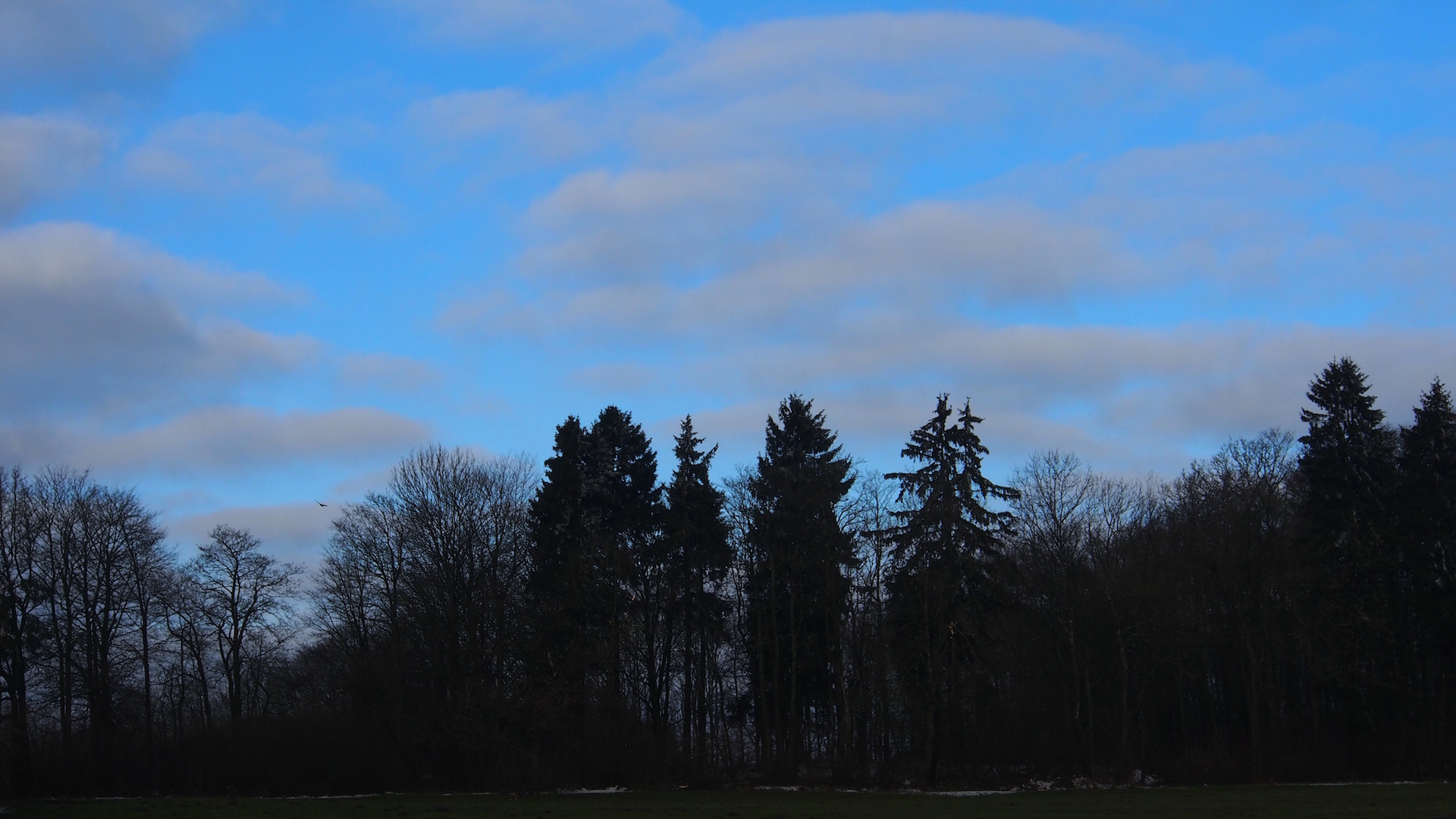 Featured Image-2